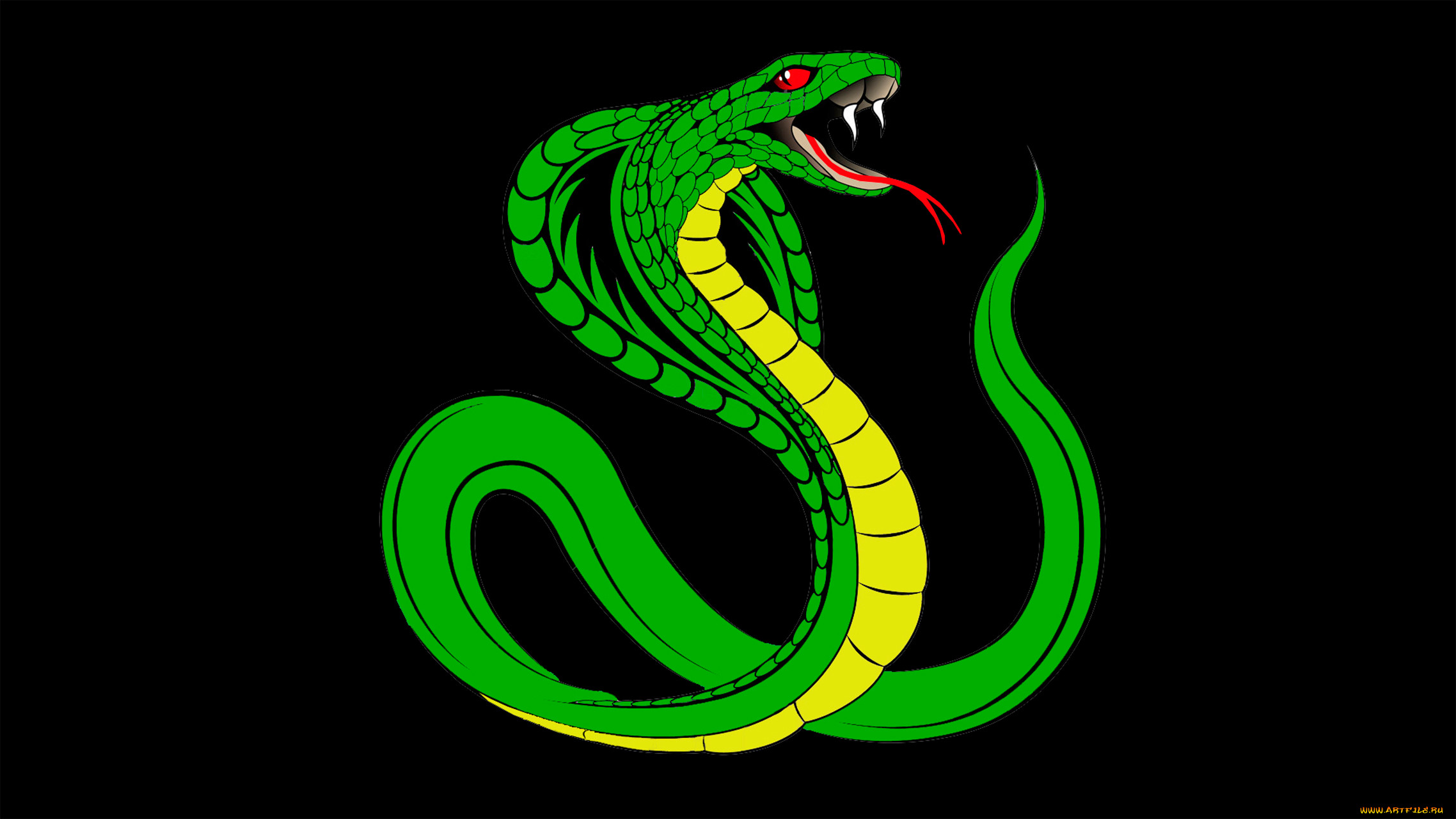 Аватарка змей. Змея арт. Змея на аву. Зеленая змея на черном фоне. Зеленый змий.